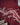Flower Instincts RACING JACKET FLOWER GTR BORDEAUX RED  – Italian Leather & Suede – Handcrafted in Portugal