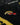 Flower Instincts RACING JACKET FLOWER TURISMO BLACK  – Italian Leather & Suede – Handcrafted in Portugal