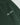 Flower Instincts SHORT SIGNATURE GREEN  – Italian Leather & Suede – Handcrafted in Portugal