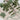 Flower Instincts SNEAKERS SDT GREEN POULETO  – Italian Leather & Suede – Handcrafted in Portugal