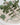 Flower Instincts SNEAKERS SDT GREEN POULETO  – Italian Leather & Suede – Handcrafted in Portugal