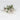 Flower Instincts SNEAKERS SDT GREEN POULETO  – Italian Leather & Suede – Handcrafted in Portugal