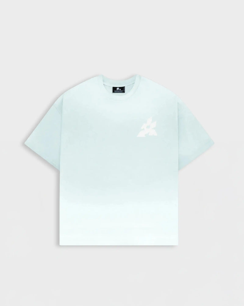 T-SHIRT RASPBLUERRY