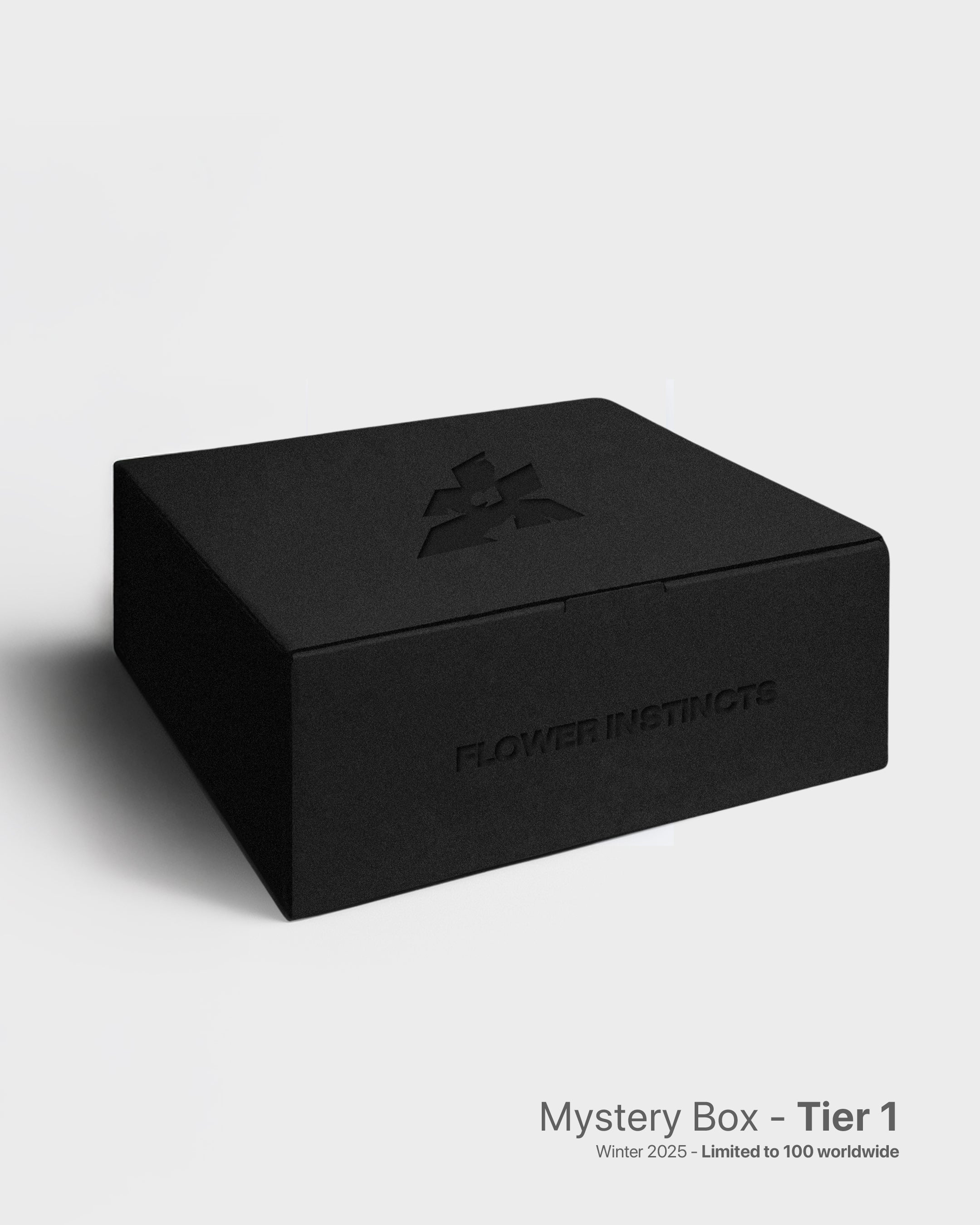 Mystery Box Tier 1 : x2 SNEAKERS