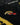 Flower Turismo Racing Jacket Black Detail